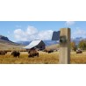 Kamera IP Reolink GO Series G330 camuflage z panelem solarnym