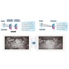 Kamera IP TIOC 3.0 DAHUA IPC-HDBW3549R1-ZAS-PV-27135-S5