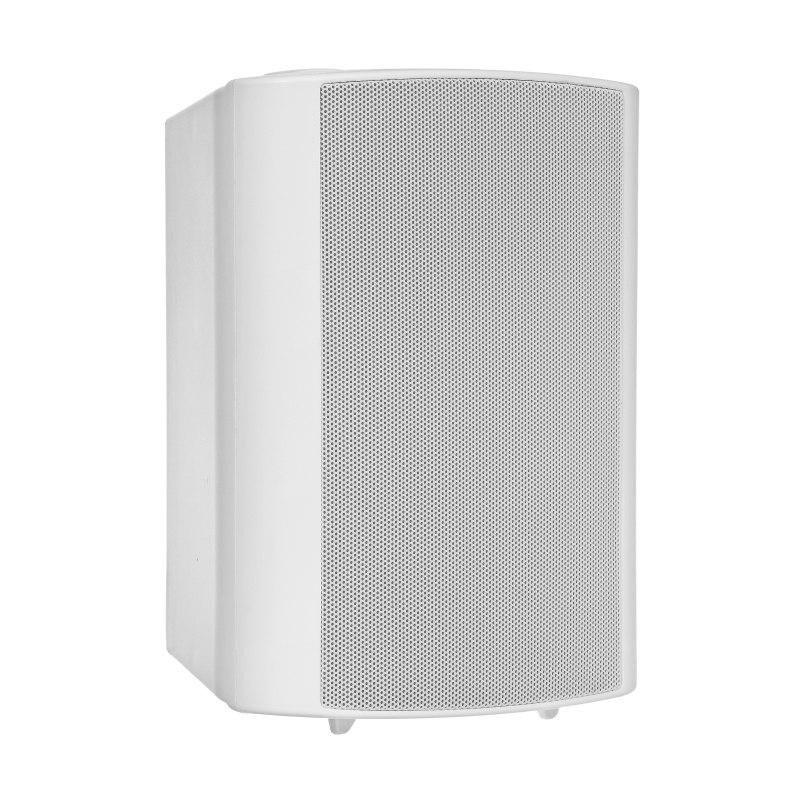 Głośnik naścienny HQM-NZPZ3025W 30W