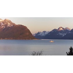 Kamera IP Reolink P320 5MP POE biała