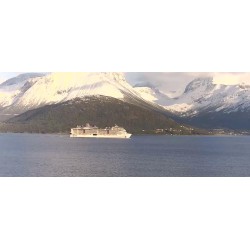 Kamera IP WiFi Reolink W320 5Mpix Wi-Fi P2P czarna