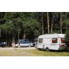 Fotopułapka - Kamera leśna - Orllo Huntercam 6 SIM z zasilaniem solarnym