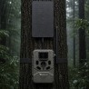 Fotopułapka - Kamera leśna - Orllo Huntercam 6 SIM z zasilaniem solarnym