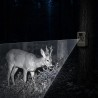 Fotopułapka - Kamera leśna - Orllo Huntercam 6 SIM z zasilaniem solarnym