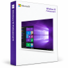 Microsoft Windows 10 Professional N USB - 1 PC - MegaIT