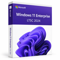 Windows 11 Enterprise LTSC 2024 USB - MegaIT
