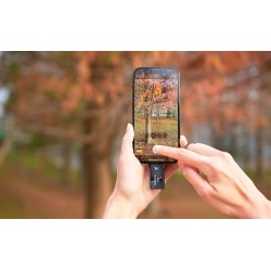 Adata Dysk Zewnętrzny SSD SC730 512G USB 3.2C/A 600/600MB/s czarny