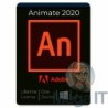 Animate 2020 - Licencja Wieczysta (LifeTime) - Windows - Użytkownik Indywidualny - BOX (ESD)