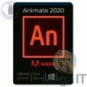Animate 2020 - Licencja Wieczysta (LifeTime) - Windows - Użytkownik Indywidualny - BOX (USB)