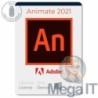 Animate 2021 - Licencja Wieczysta (LifeTime) - Windows - Użytkownik Indywidualny - BOX (USB)
