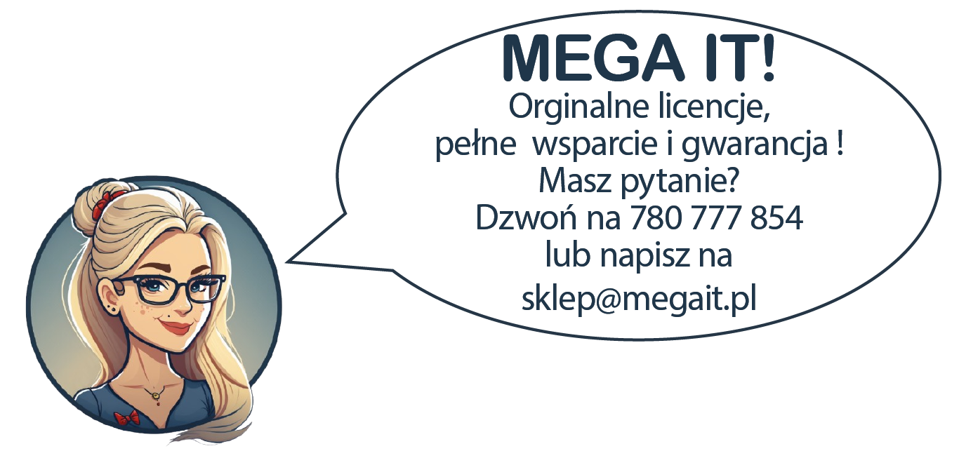 MegaITkrotkiopis_2.png
