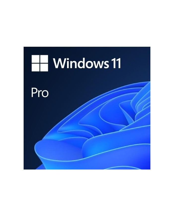 Microsoft Windows 11 Professional